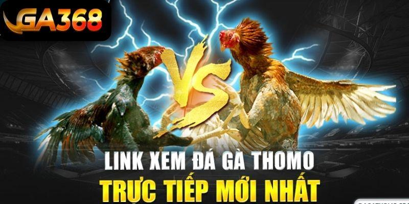 GA368 địa điểm xem đá gà thomo hôm nay